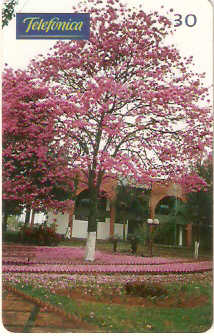 SP-0321 - São Caetano do Sul